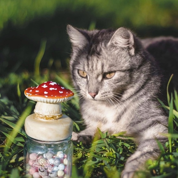 Artisan Mushroom Canister, NIB - Picture 6 of 9